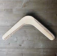 14″ BOOMERANG